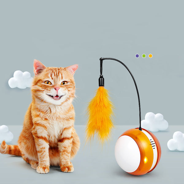 Electric intelligent cat ball kitten Kitty supplies