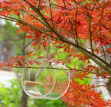 Acrylic Bird Food Box