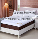 10cm Household Mattress Dormitory Soft Winter Warm