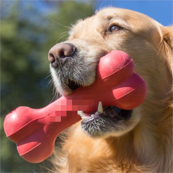 Dog Toys Bite Resistant Rubber Teeth Grinding