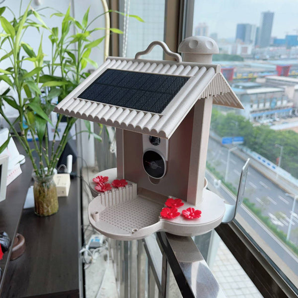 Alimentador inteligente de 160 grados de ángulo ancho AI identificar aves