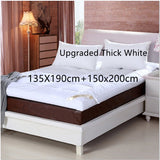 10cm Household Mattress Dormitory Soft Winter Warm