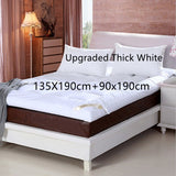 10cm Household Mattress Dormitory Soft Winter Warm