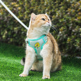 Cat Traction Rope Special Anti Break Pet Supplies