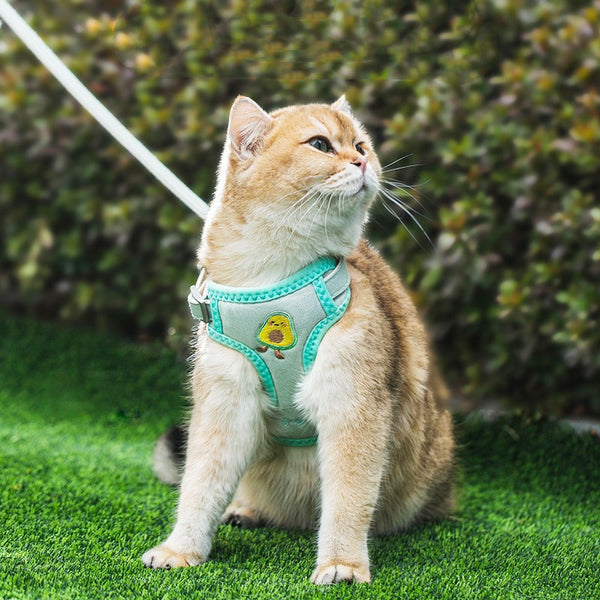 Cat Traction Rope Special Anti Break Pet Supplies